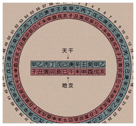 1997 天干地支|按天干地支的纪年法，1997年应是什么年